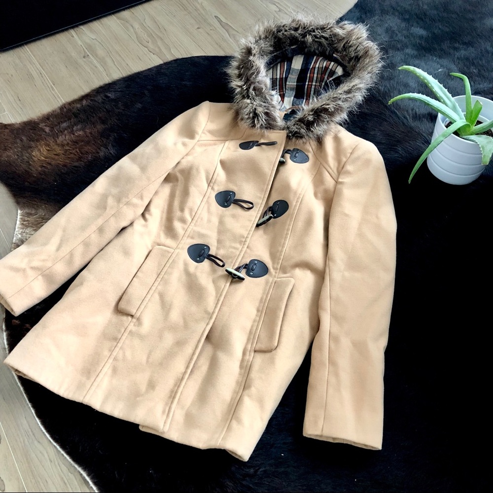 Winter Coat